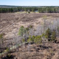 Chickasaw County - 176 Acres - Hwy 15 - Mantee MS images 3