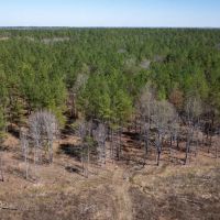 Chickasaw County - 176 Acres - Hwy 15 - Mantee MS images 4