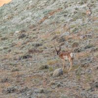 Burma Grazing Recreational Acreage images 3