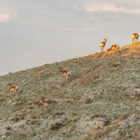 Burma Grazing Recreational Acreage images 4