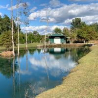 5 acres of Hunting and Fishing Land For Sale in Southampton County VA images 2