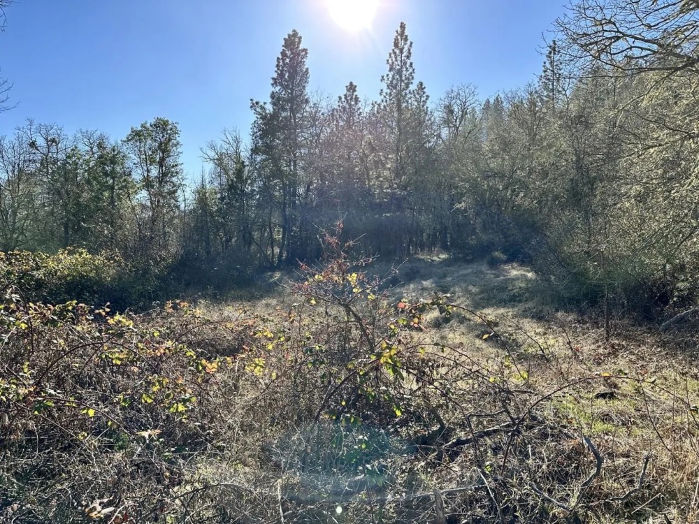 0 Upper Powell Creek Rd. featured image
