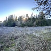 0 Upper Powell Creek Rd. images 2