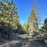 0 Upper Powell Creek Rd. images 4