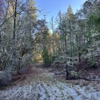 0 Upper Powell Creek Rd. images 5