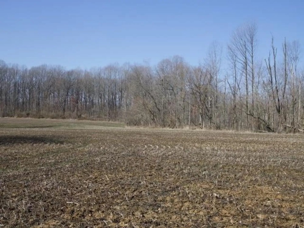 70 Acres Near Sullivan Lake Hunting Land for Sale HuntingLocator