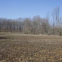 70 Acres Near Sullivan Lake