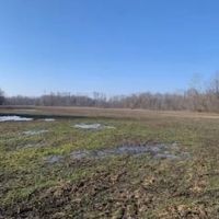 70 Acres Near Sullivan Lake images 2