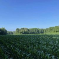 70 Acres Near Sullivan Lake images 3