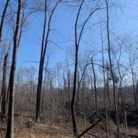 70 Acres Near Sullivan Lake images 5