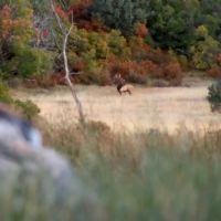 Mundy Ranch