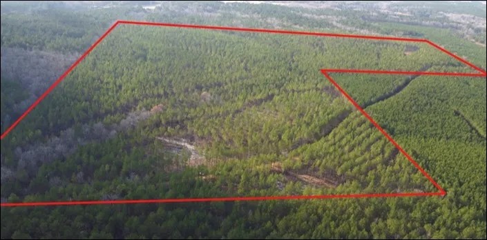 120 Acres in Oktibbeha County in Starkville MS featured image