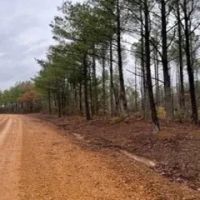 120 Acres in Oktibbeha County in Starkville MS images 5