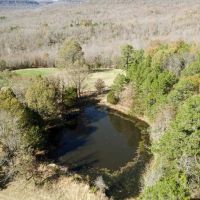 Whisper Ridge - 126 acres in Marble Falls AR - Newton County images 5