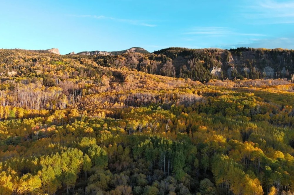 Montrose Alpine Ranch featured image
