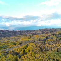 Montrose Alpine Ranch images 2