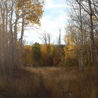 Montrose Alpine Ranch images 4