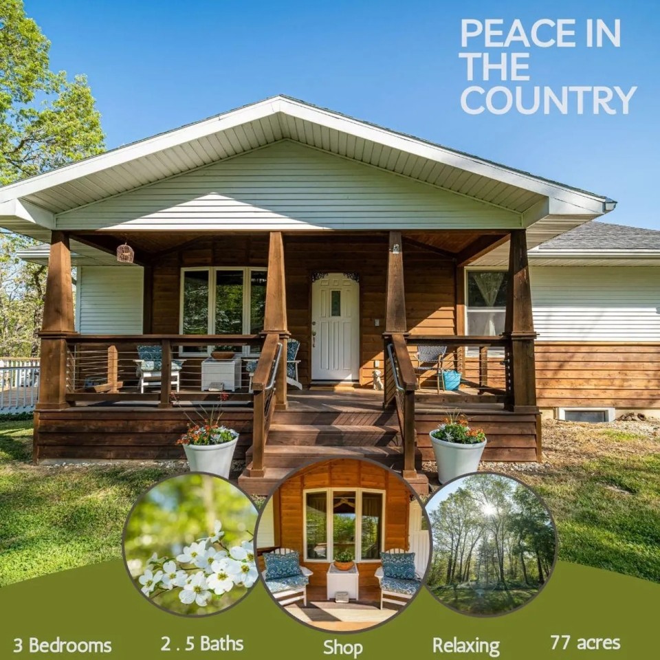 Peace In The Country featured image