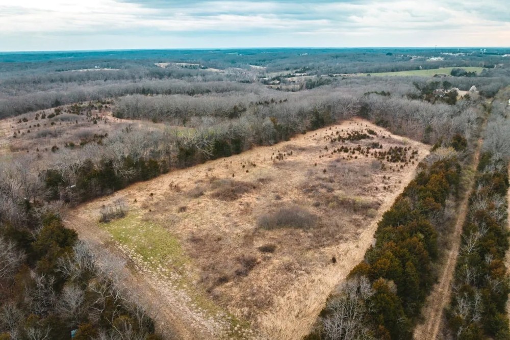 Old Highway 50 Acres-Tract 2 featured image