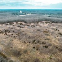 Old Highway 50 Acres-Tract 2 images 4