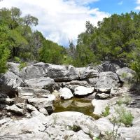 North Fork Ranch images 4