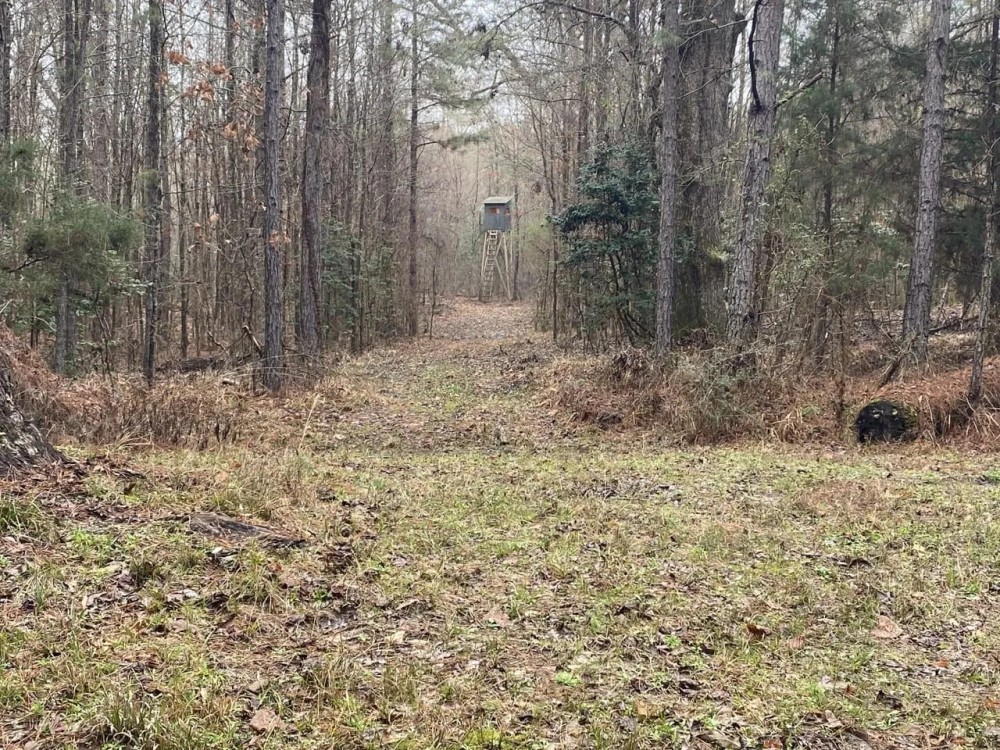 1 CLAIBORNE PARISH 40 featured image