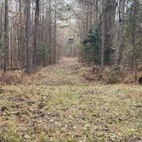 1 CLAIBORNE PARISH 40 images 3