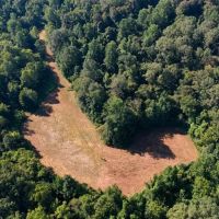 227 Acres Hunting Land for Sale in Warren County MS
