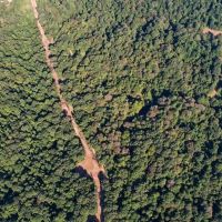 227 Acres Hunting Land for Sale in Warren County MS images 2