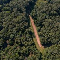 227 Acres Hunting Land for Sale in Warren County MS images 3