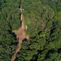227 Acres Hunting Land for Sale in Warren County MS images 4