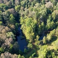 227 Acres Hunting Land for Sale in Warren County MS images 5