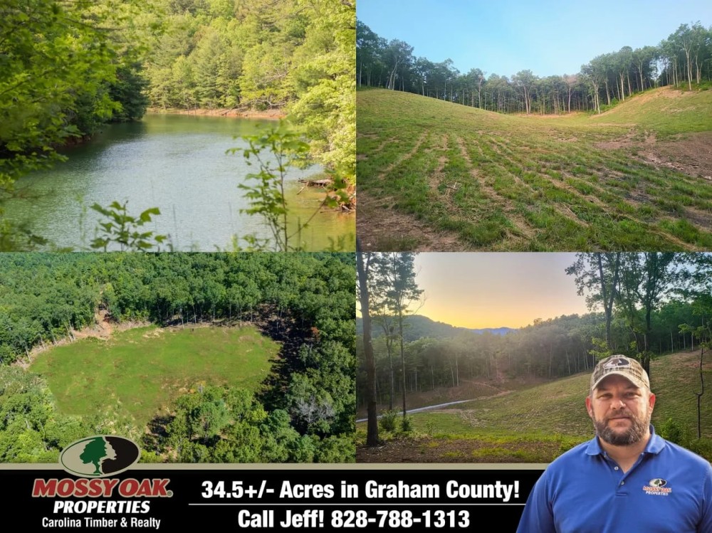 34.5 - Acre Horse Farm - Walking Distance to Fontana Lake featured image
