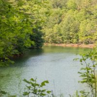 34.5 - Acre Horse Farm - Walking Distance to Fontana Lake images 4