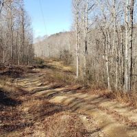 65 Acres in Van Buren County Arkansas images 2