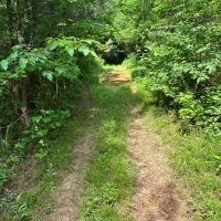 101 - Acres in Union County images 4