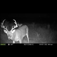 65 Acres - of Hunting Land in New Madrid County Missouri images 5