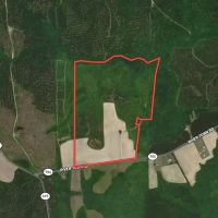 MARKET BASED PRICE IMPROVEMENT 90 acres of Residential Farm Land For Sale in Sussex County VA