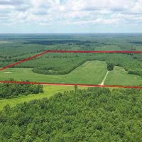 MARKET BASED PRICE IMPROVEMENT 90 acres of Residential Farm Land For Sale in Sussex County VA images 2