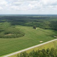 MARKET BASED PRICE IMPROVEMENT 90 acres of Residential Farm Land For Sale in Sussex County VA images 3