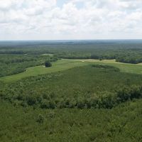 MARKET BASED PRICE IMPROVEMENT 90 acres of Residential Farm Land For Sale in Sussex County VA images 4
