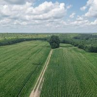 MARKET BASED PRICE IMPROVEMENT 90 acres of Residential Farm Land For Sale in Sussex County VA images 5