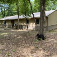 Ozark National Forest Cabin images 3
