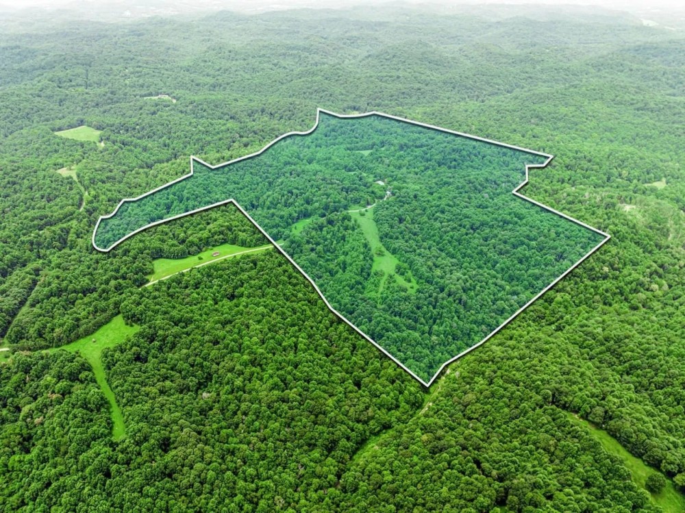 138.32 surveyed acres at the end of Patch Lane located in Macon County TN featured image