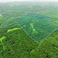 138.32 surveyed acres at the end of Patch Lane located in Macon County TN