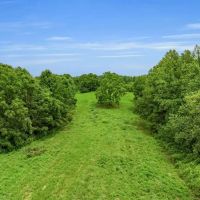 138.32 surveyed acres at the end of Patch Lane located in Macon County TN images 2