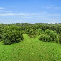 138.32 surveyed acres at the end of Patch Lane located in Macon County TN images 3