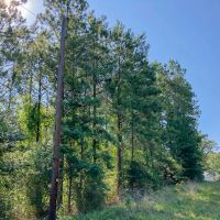 27 Acres T-4 Saron images 5