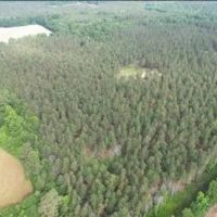 46.4 Acres in Choctaw County in Ackerman MS images 2