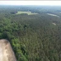 46.4 Acres in Choctaw County in Ackerman MS images 3